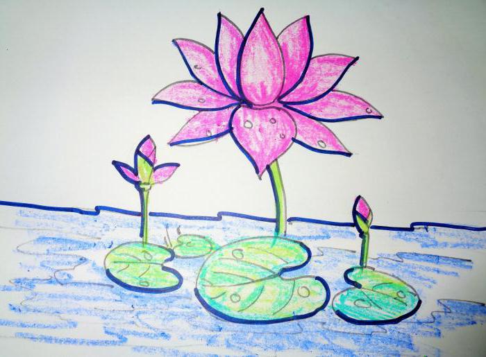Kā izdarīt lotosu: iesācēju rokasgrāmata