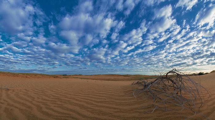 Noslēpumainā tuksnesis Aloshkovskie smiltis netālu Kherson (Ukraina)