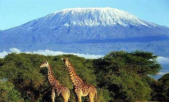 Vai jūs zināt, kas ir lielākais vulkāns Āfrikā?