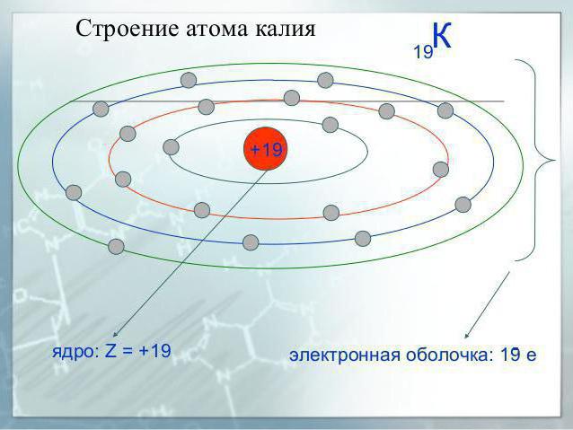kālija atoma elektroniskā konfigurācija