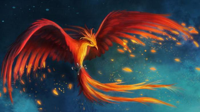 zvaigznājs phoenix