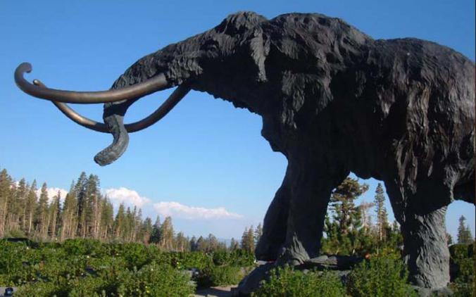 Mamuts ir ... mamutu vēsture. Kā jūs medības mamutos?