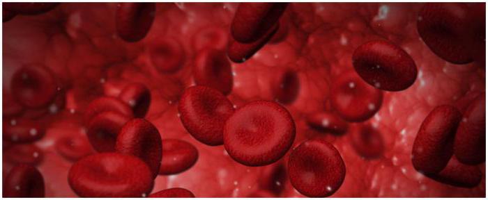 HCT asins analīzes dekodēšana, norma